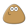 Pou