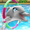 My Dolphin Show
