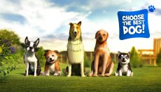 Dog Simulator